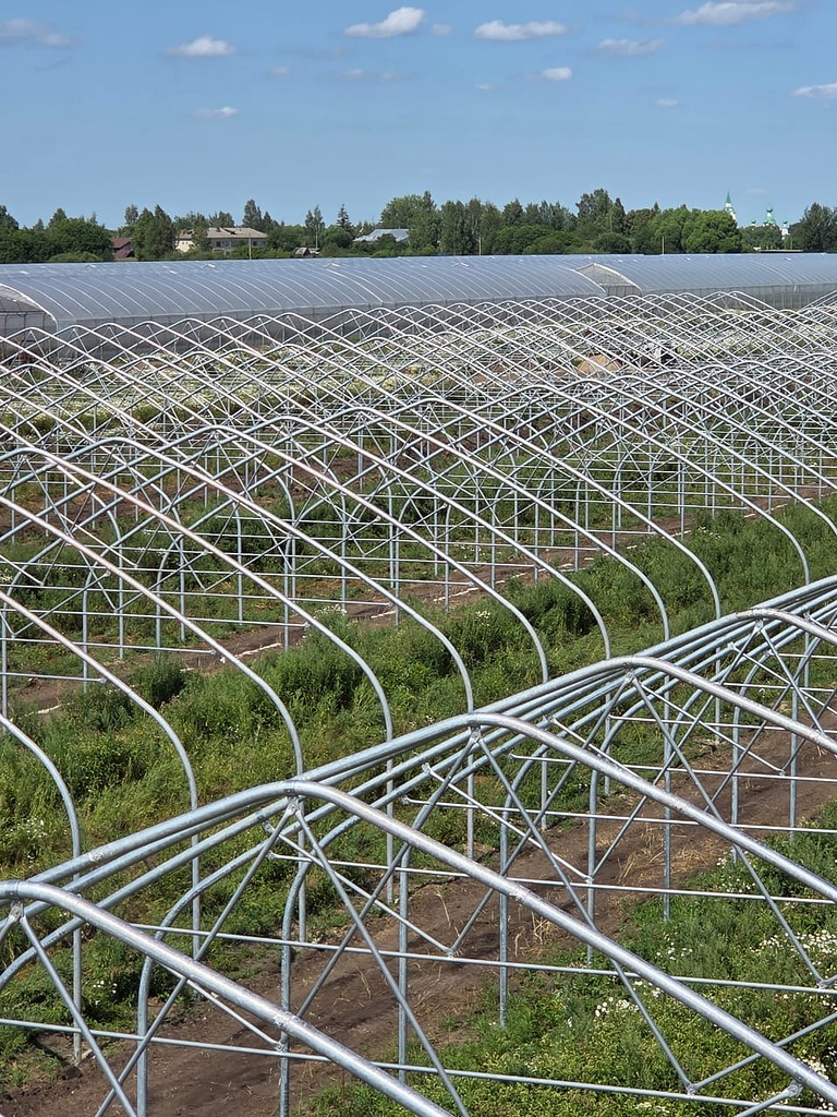 Портрет человека